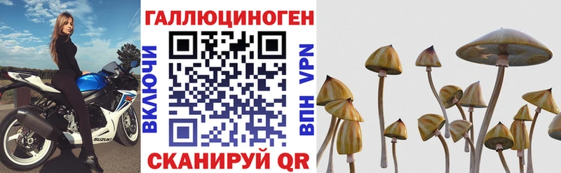 Галлюциногенные грибы мицелий Горняк